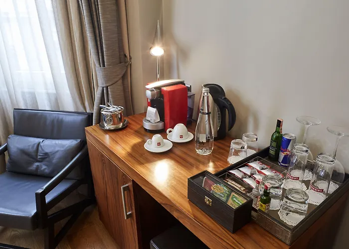 塔克西姆普瑞路德酒店 3* 伊斯坦布尔