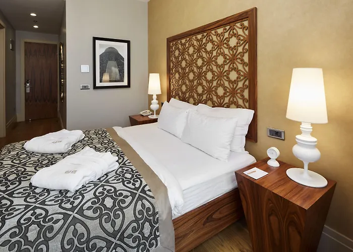 塔克西姆普瑞路德酒店 酒店 伊斯坦布尔