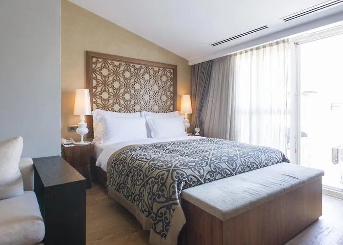 塔克西姆普瑞路德酒店 3* 伊斯坦布尔